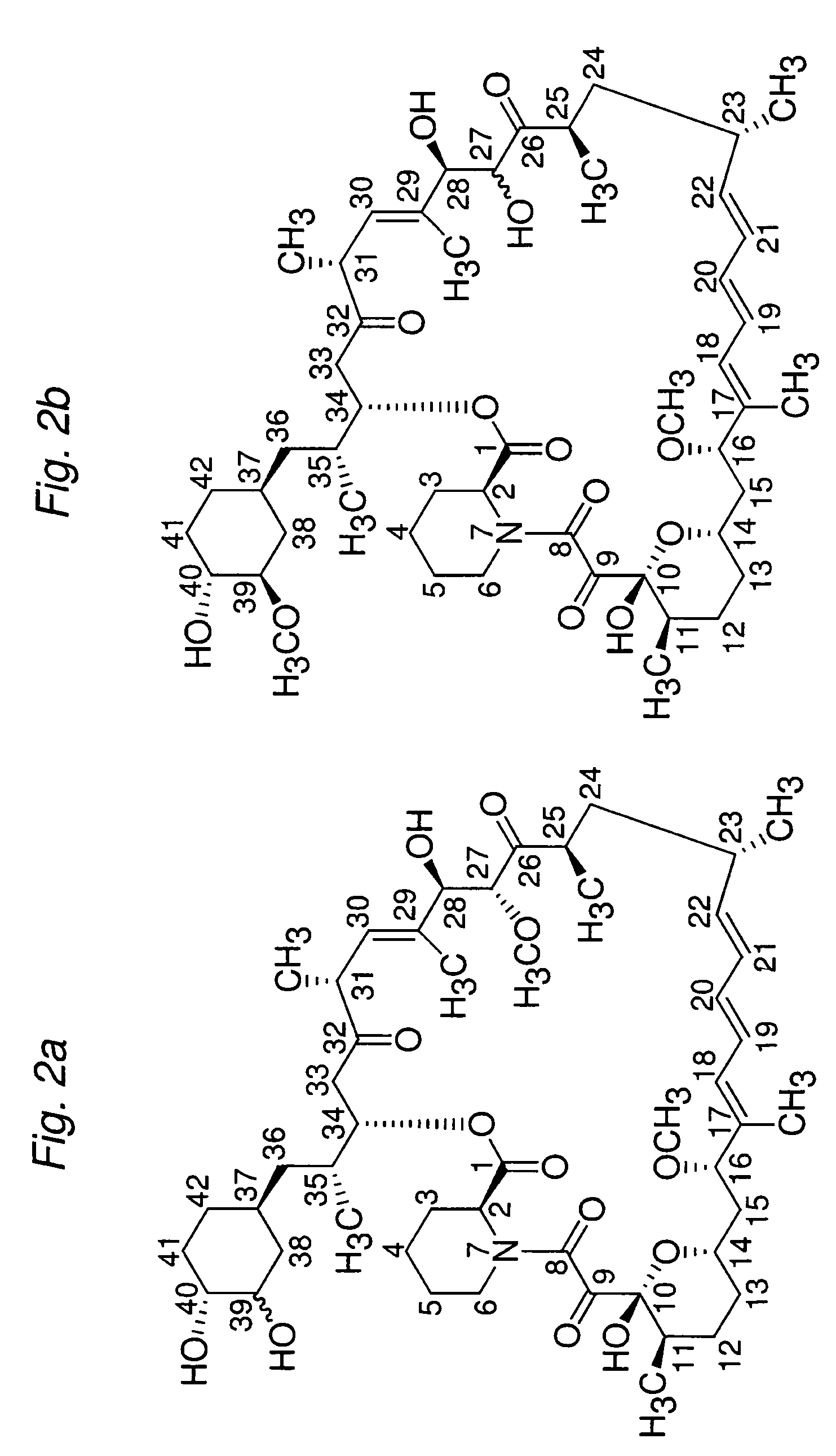 Macrocyclic lactone compounds and methods for their use