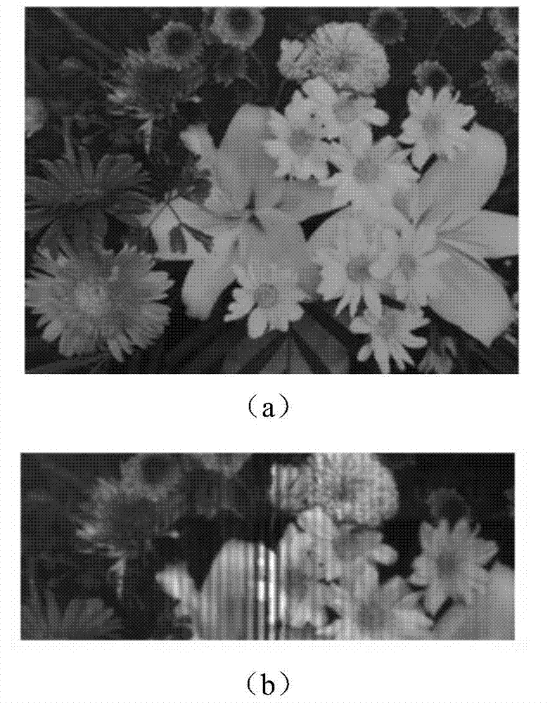 Dual-channel high-throughput interference imaging spectral device and method