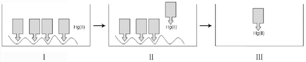 Detection method and detection device for mercury ions