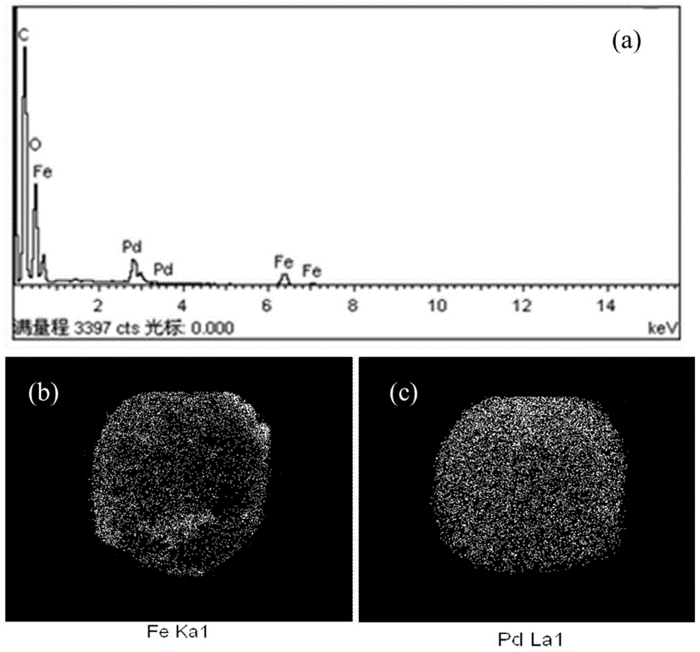 Application of nano-iron-palladium bimetallic composite material and method for removing nitrate and phosphate in water body and subsequent treatment method