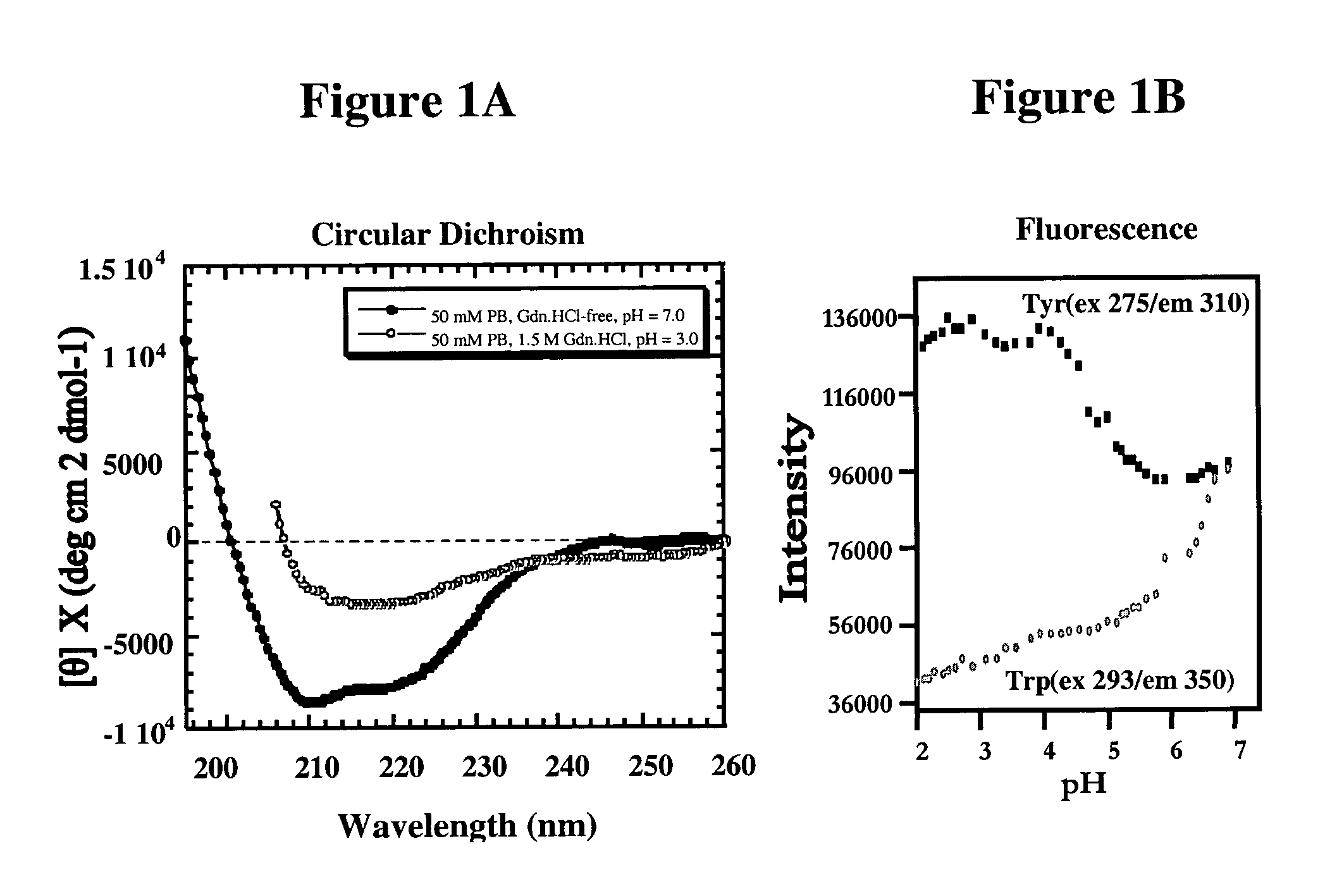 Antibodies to a YYX epitope of a mammalian prion protein