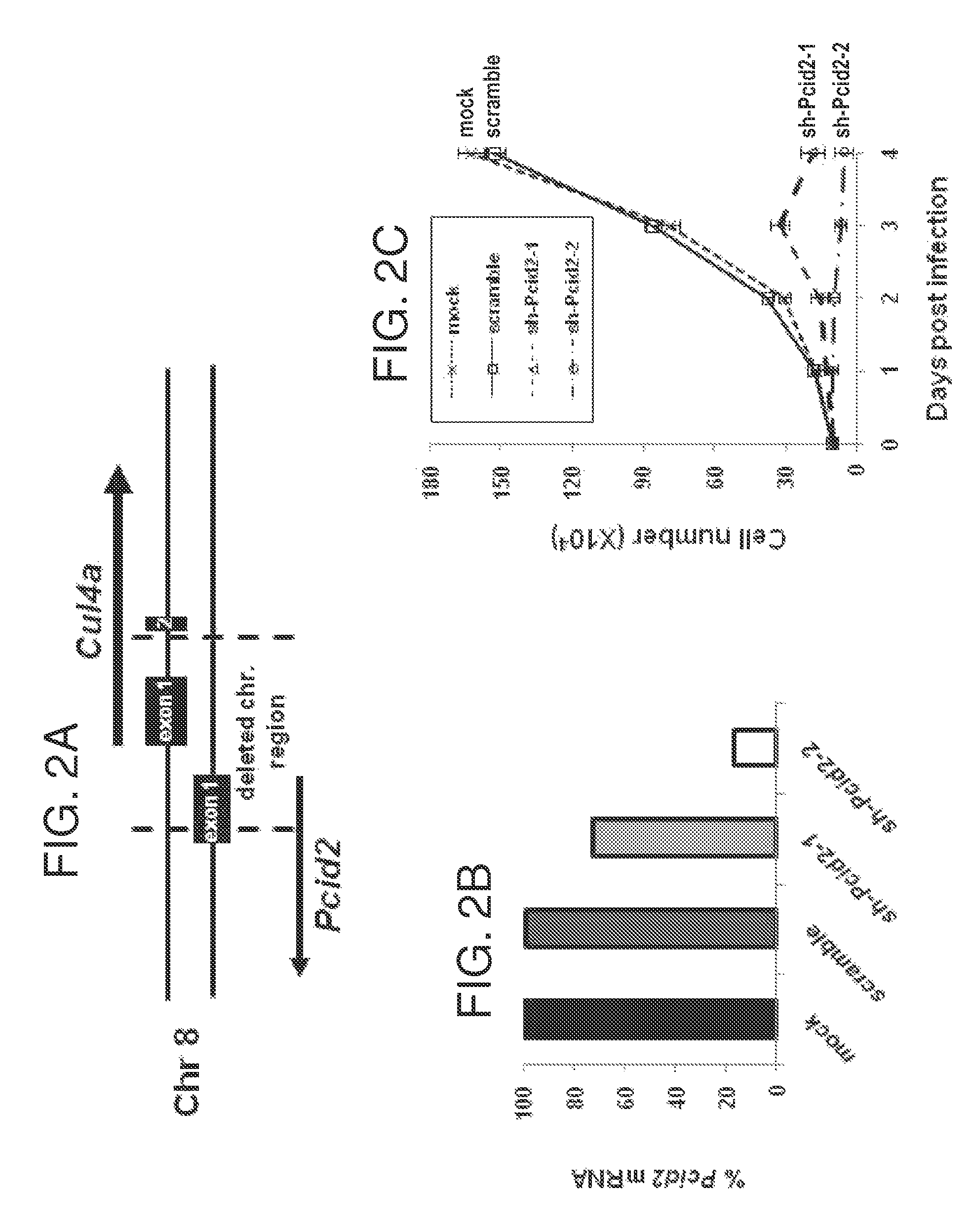Substances and compositions for enhancing DNA repair and methods of use