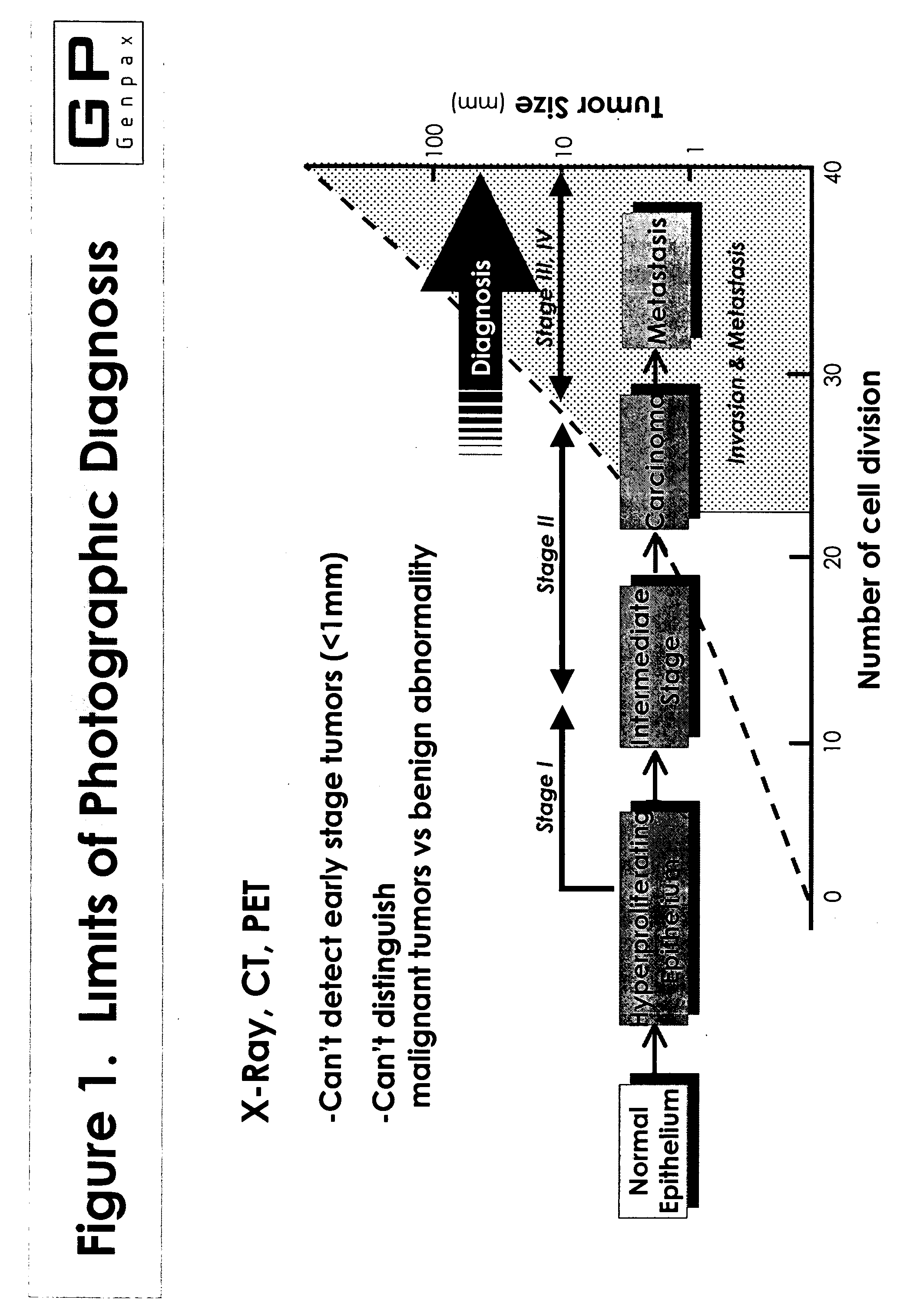 Novel composition and methods for the diagnosis of lung cancer