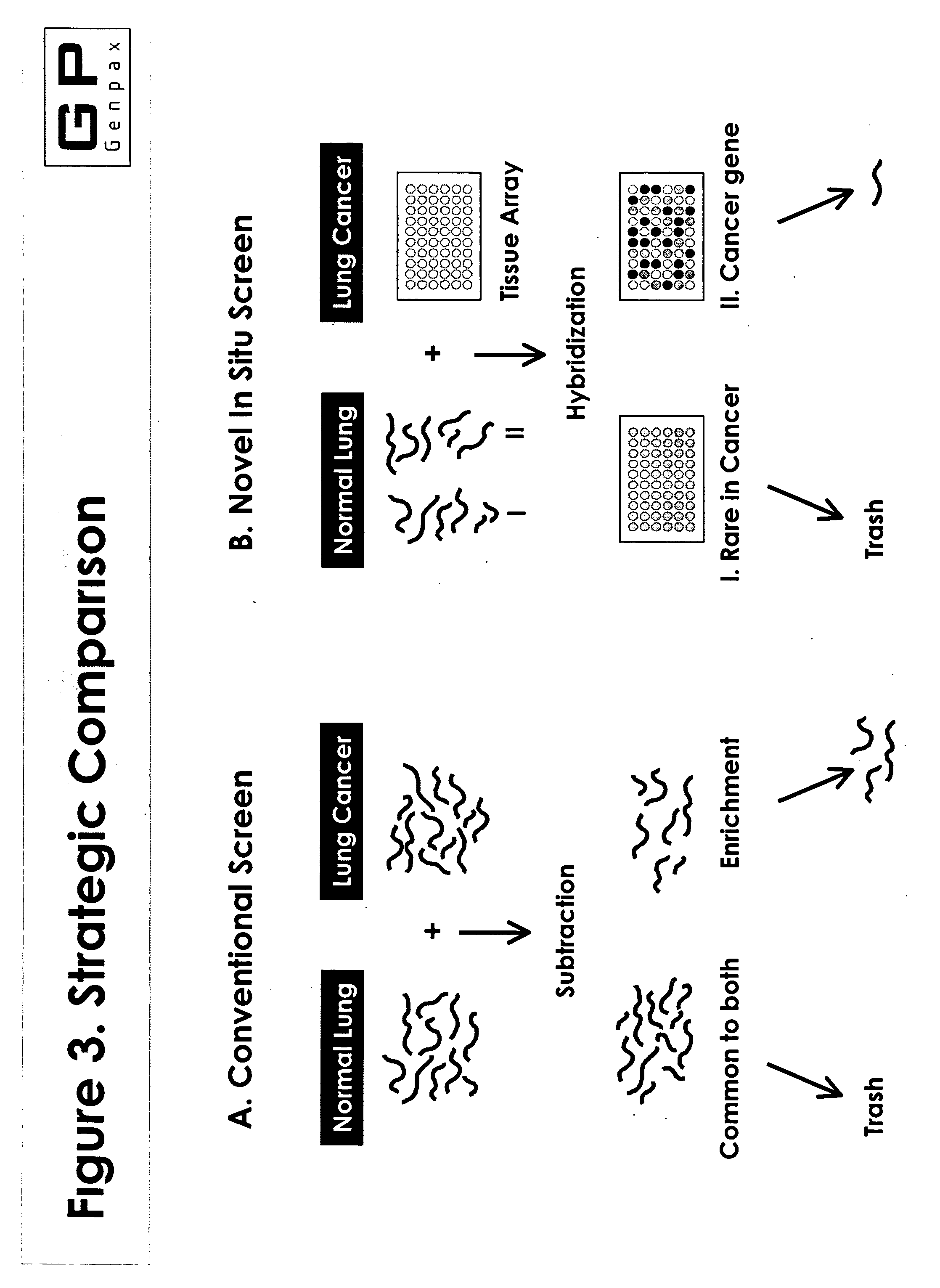 Novel composition and methods for the diagnosis of lung cancer