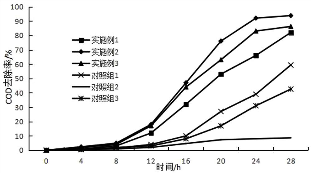 A kind of denitrification and denitrification composite bacterial agent and its preparation method and application