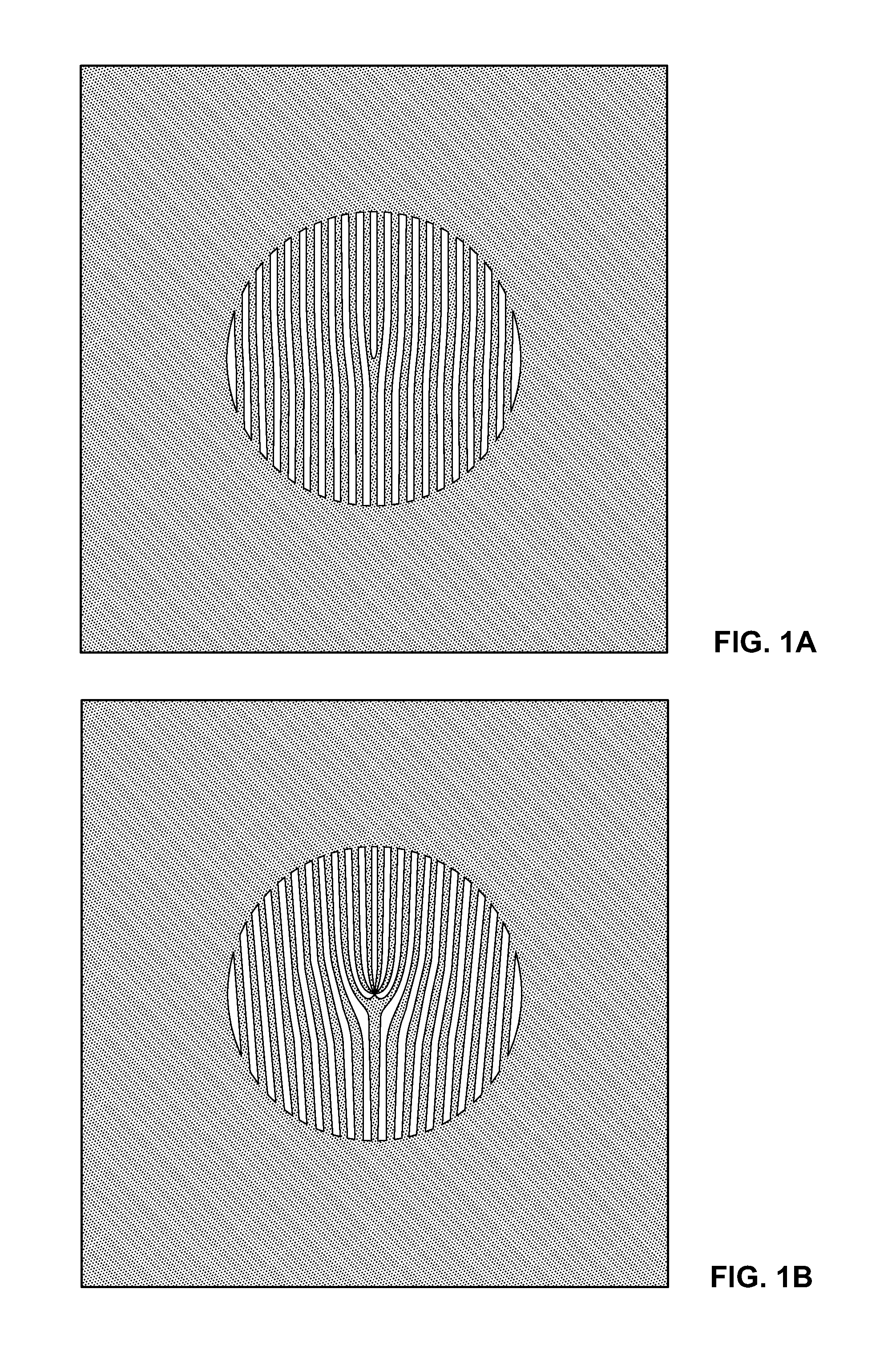 System and method for producing and using multiple electron beams with quantized orbital angular momentum in an electron microscope
