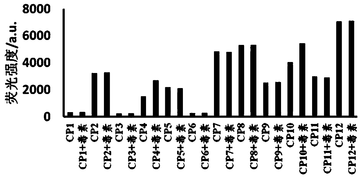 Fumonisin b  <sub>1</sub> Screening and Application of Nucleic Aptamer Strand Displacement Probes