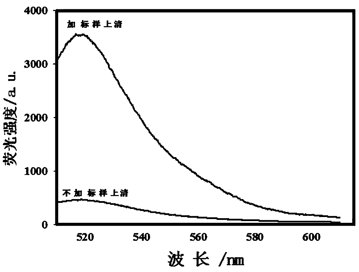 Fumonisin b  <sub>1</sub> Screening and Application of Nucleic Aptamer Strand Displacement Probes