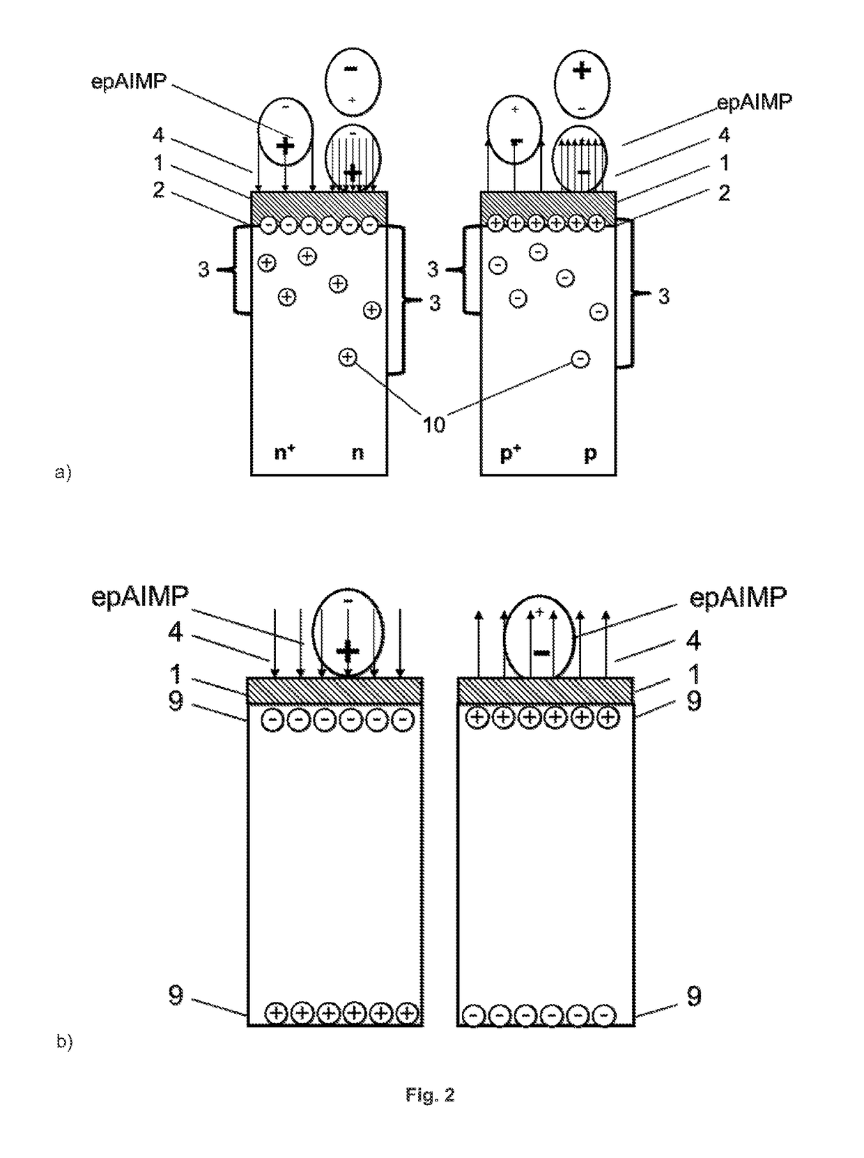 Carrier material for electrically polarizable biomaterials, polyelectrolyte materials, atoms, ions and molecules; its manufacture and use