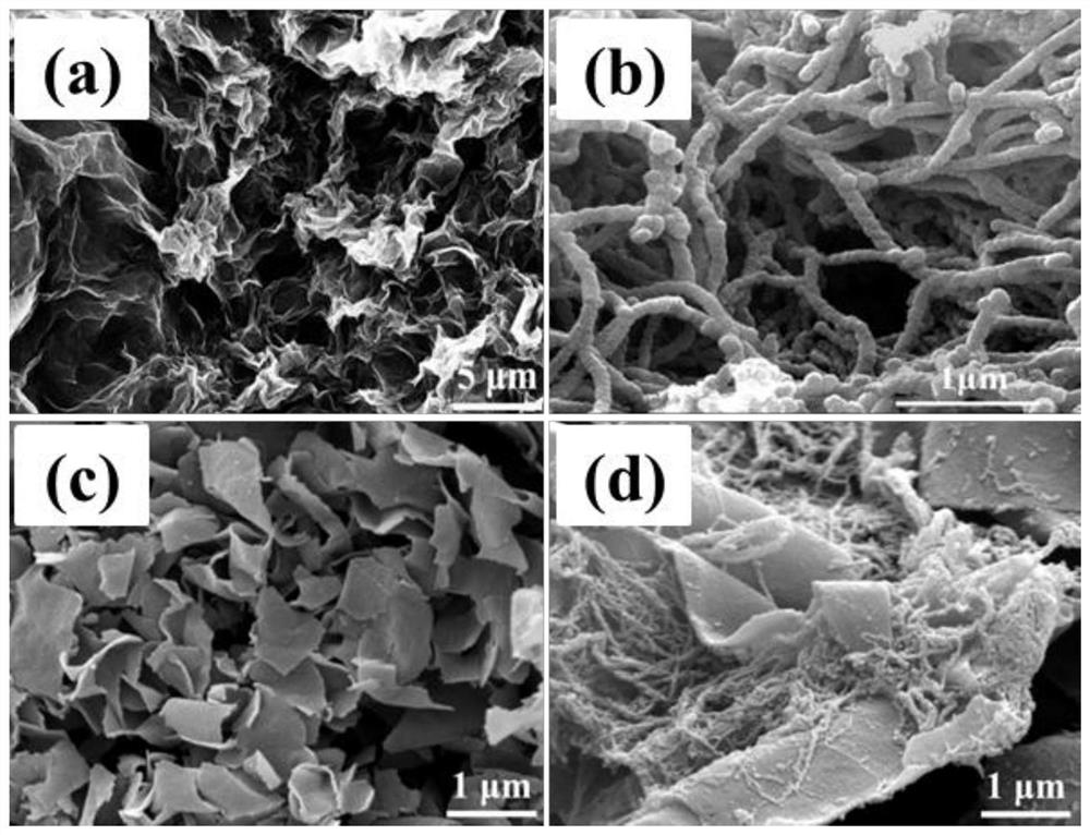 A kind of graphene oxide chiral polypyrrole hybrid material, anti-corrosion wave-absorbing coating and preparation method