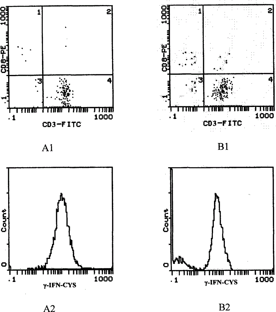 Preparation method of Th1 cell subset and use of Th1 cell subset in preparation of anti-tumor cell preparation