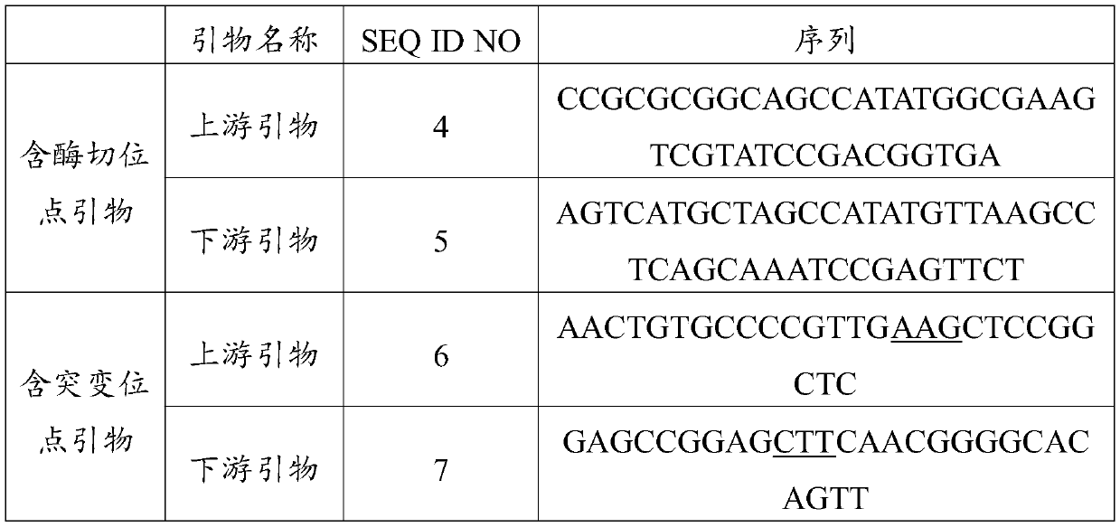 An ascorbate peroxidase mutant maapx1  <sup>m36k</sup> and its application