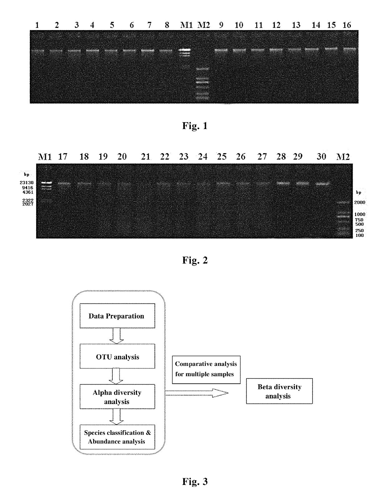 Stabilizer for preserving biological samples