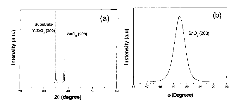 Method for preparing tin oxide single crystal film with orthogonal structure