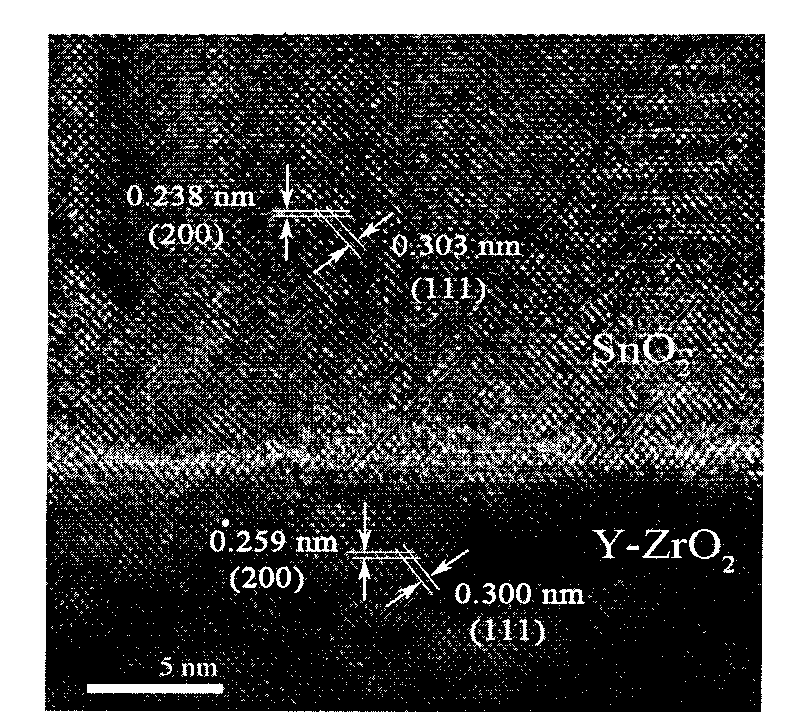 Method for preparing tin oxide single crystal film with orthogonal structure