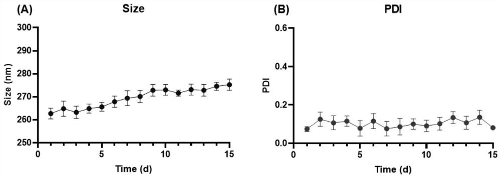 Composite nanoparticle as well as preparation method and application thereof