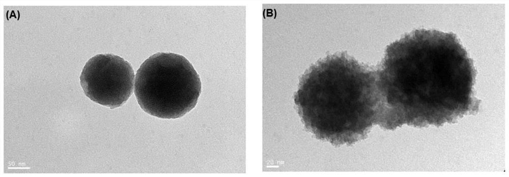 Composite nanoparticle as well as preparation method and application thereof