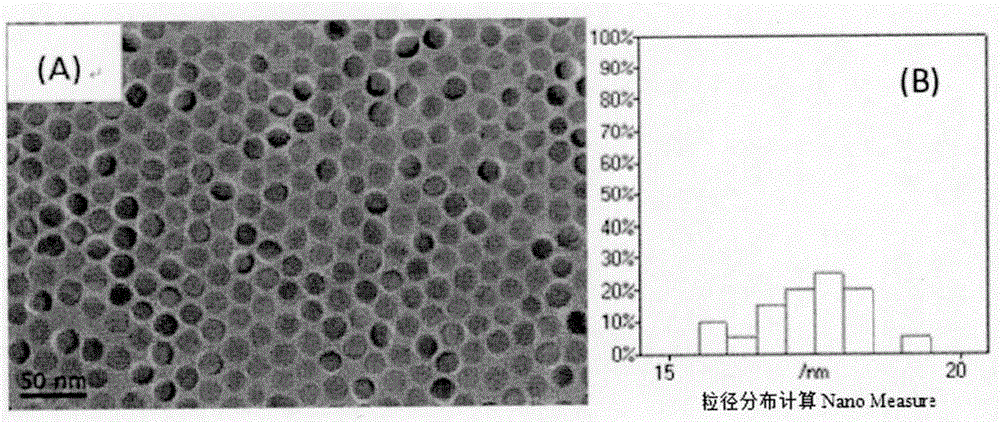 Device for preparing magnetic nanoparticles through parallel high-temperature pyrolysis and application