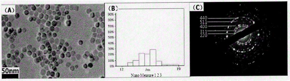 Device for preparing magnetic nanoparticles through parallel high-temperature pyrolysis and application