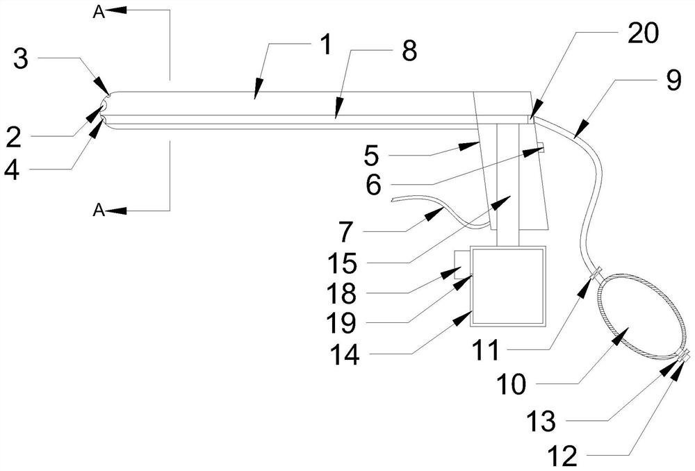 Endoscopic colposcope for gynecological examination