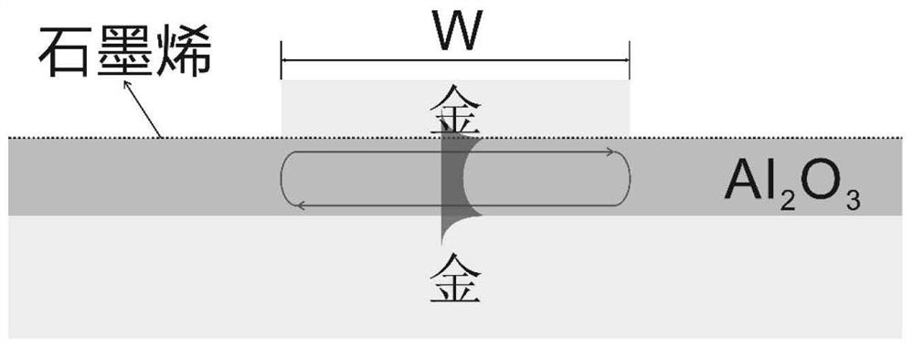 Anisotropic plasmon resonant cavity graphene polarization detector and design method