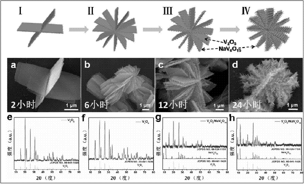 Three-dimensional hierarchical heterostructure nano-material, and gradient hydro-thermal preparation method and application thereof