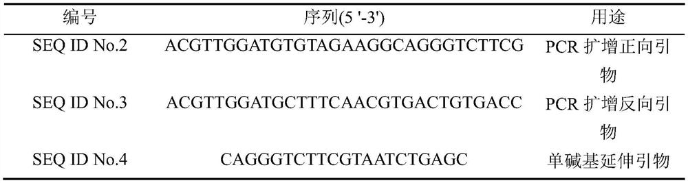 SNP (Single Nucleotide Polymorphism) site-containing polynucleotide related to schizophrenia and application of SNP site-containing polynucleotide