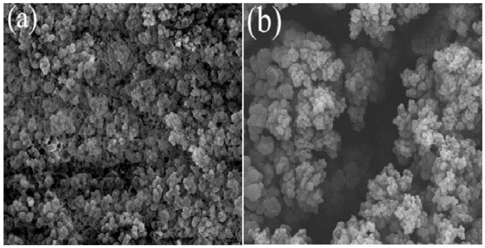 Preparation method for phase-separation induced porous super-hydrophobic coating material