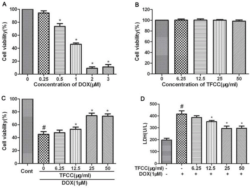 Application of clinopodium chinense total flavones in preparing medicines for protection effect of adriamycin-induced cardiotoxicity