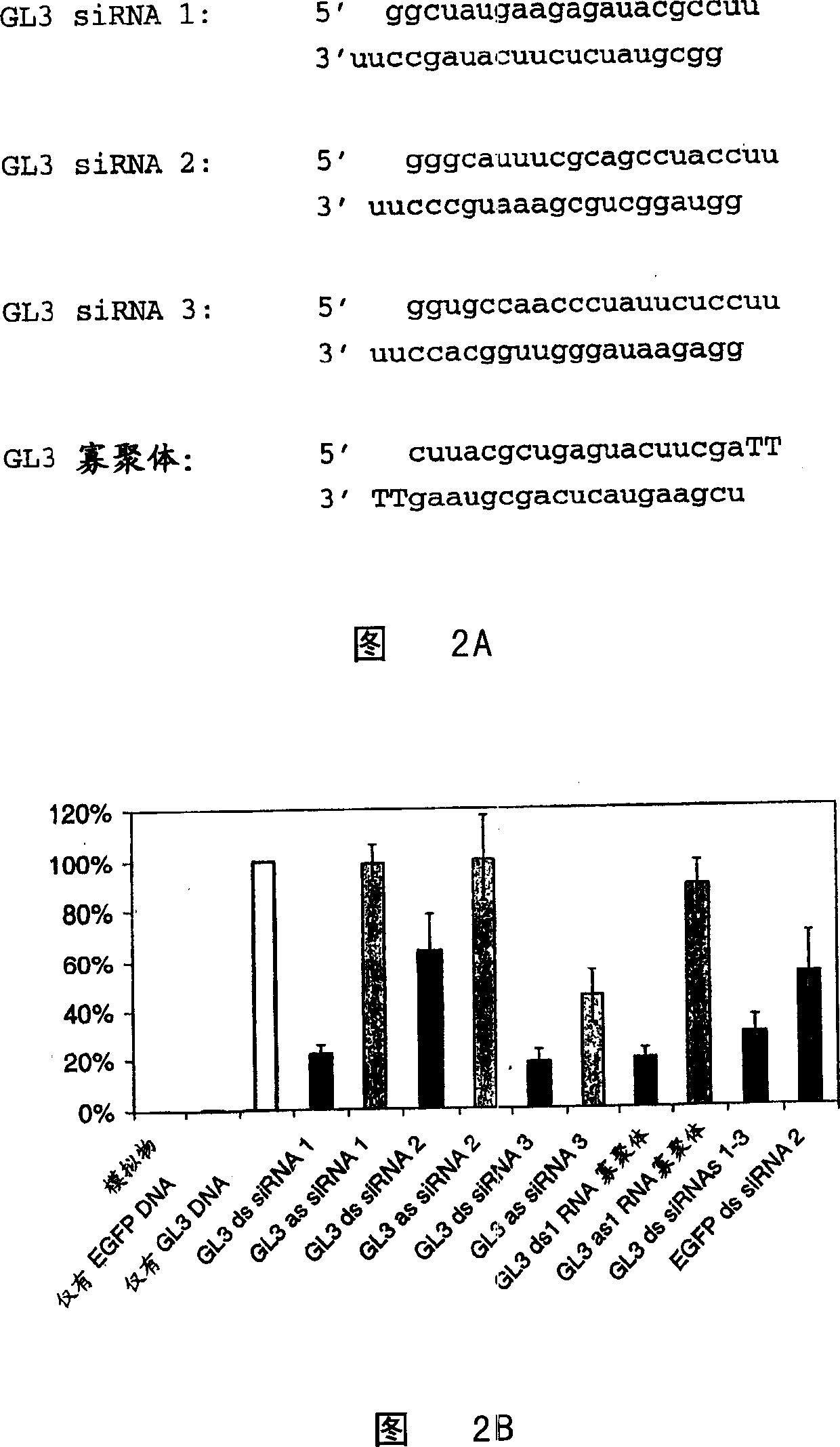 Method for the in vitro synthesis of short double stranded RNAs