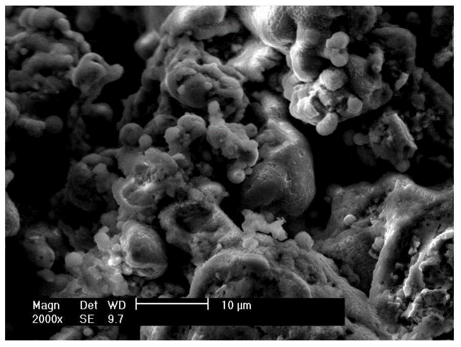 Preparation method of nitride-oxide composite porous ceramic coating