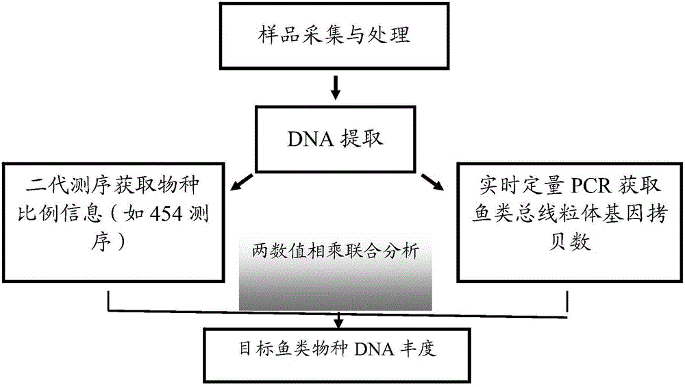 Conjoint analysis method for estimating DNA abundance of fishes based on environment DNA technology