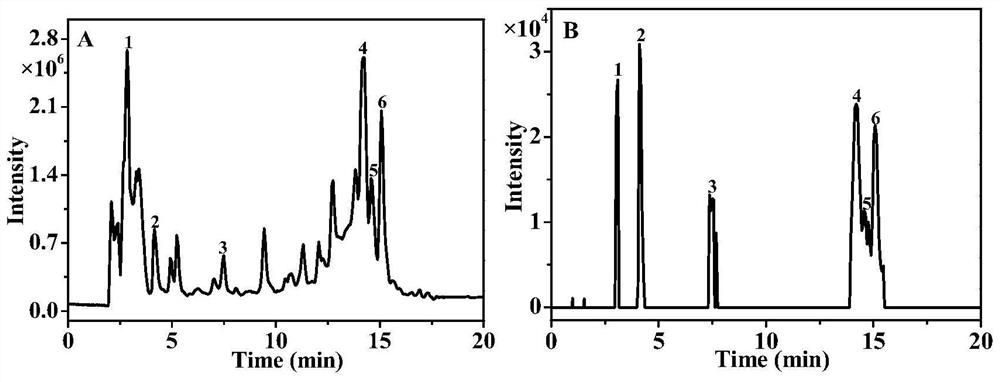 Preparation method of iridoid glycoside in oldenlandia diffusa and application of iridoid glycoside in preparation of anti-inflammatory drugs