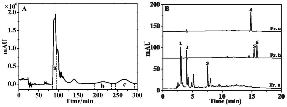 Preparation method of iridoid glycoside in oldenlandia diffusa and application of iridoid glycoside in preparation of anti-inflammatory drugs