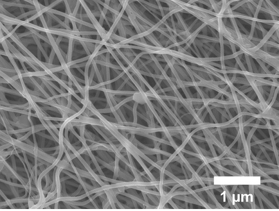 Gelatin-based carbon nanofibers and preparation method thereof