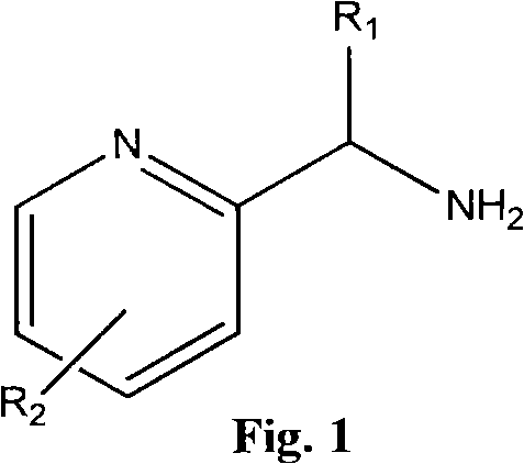 Nitrogen heterocycle ligand transition metal complex, and preparation and catalytic application thereof