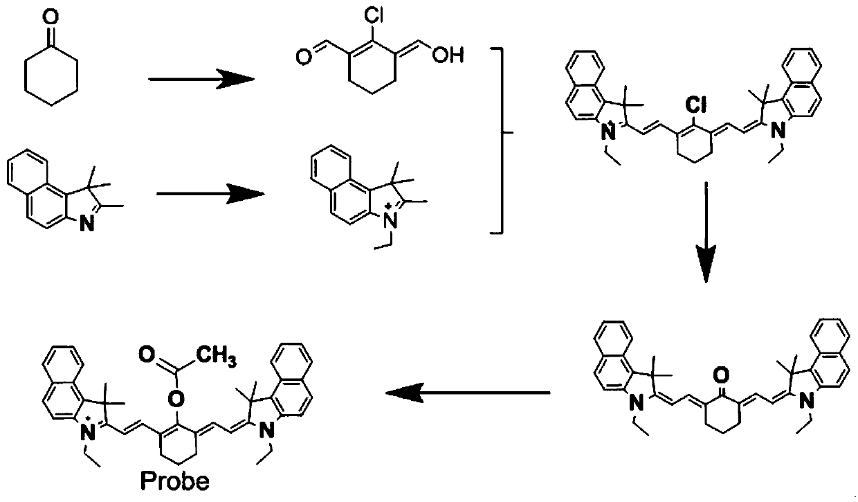 Preparation method and application of ratiometric fluorescent probe for detecting hydrazine
