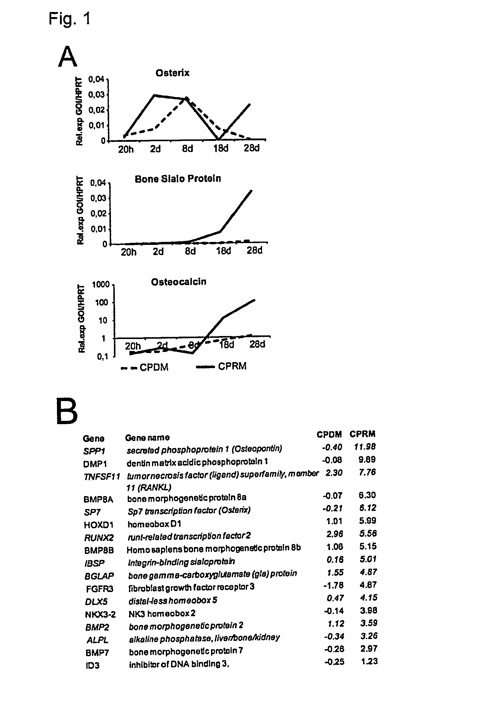 Growth factor cocktail to enhance osteogenic differentiation of mesenchymal cells