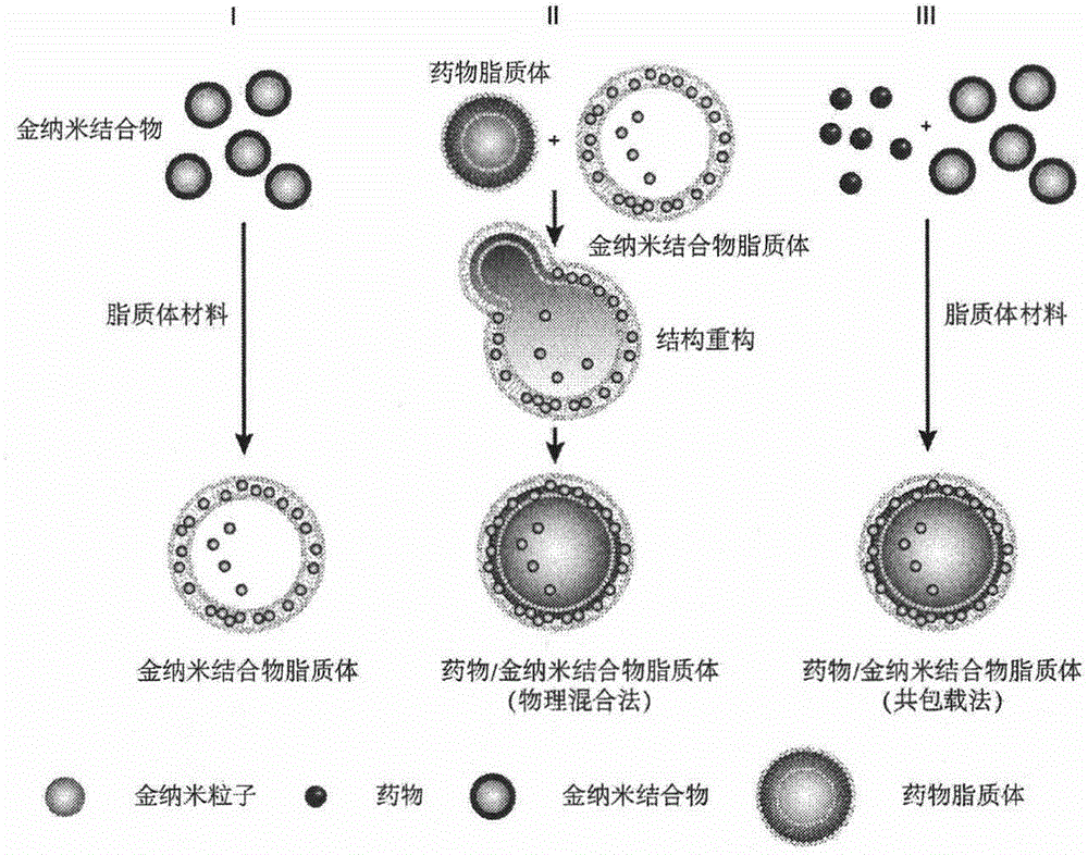 Method for preparing shrapnel type anti-tumor gold nano conjugate heterozygous liposome and application thereof