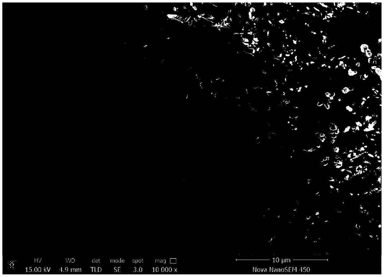 Method for quickly preparing copper oxide/polytetrafluoroethylene super-amphiphobic coating