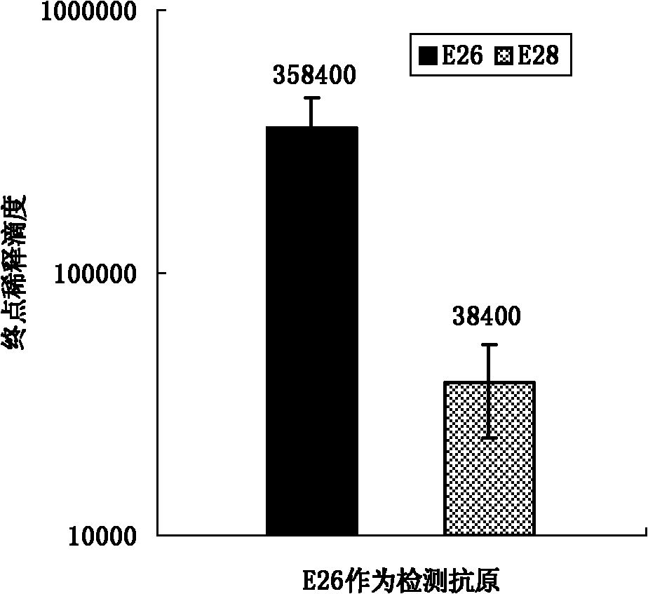 Synthetic peptide vaccine for swine fever and application thereof