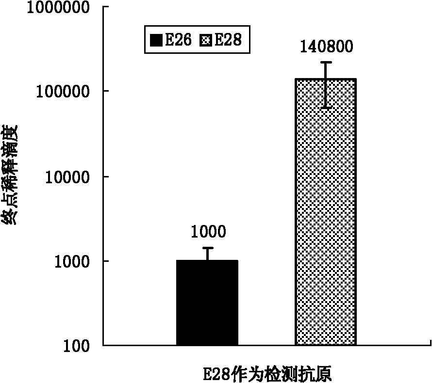 Synthetic peptide vaccine for swine fever and application thereof