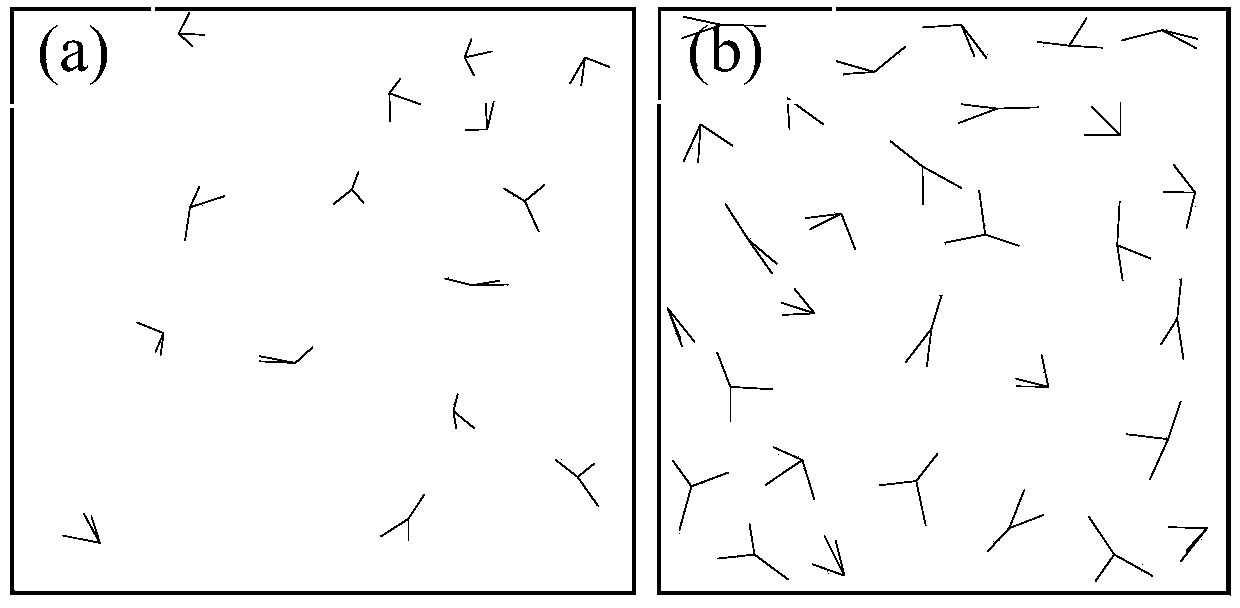 Composite material mechanics property evaluation method based on three-dimensional microcosmic crystal whisker composition