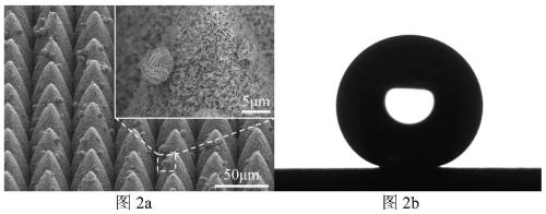 Stable superhydrophobic metal surface with three-dimensional three-stage micro-nano structure and preparation method thereof