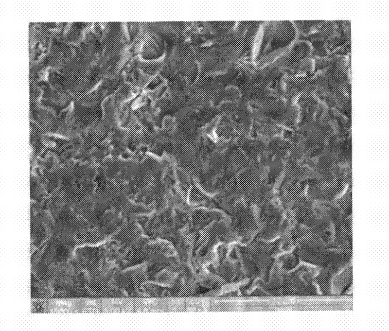 Aqueous dispersion system and method for etching polysilicon wafer