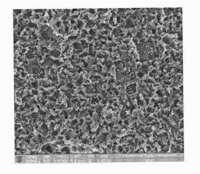 Aqueous dispersion system and method for etching polysilicon wafer