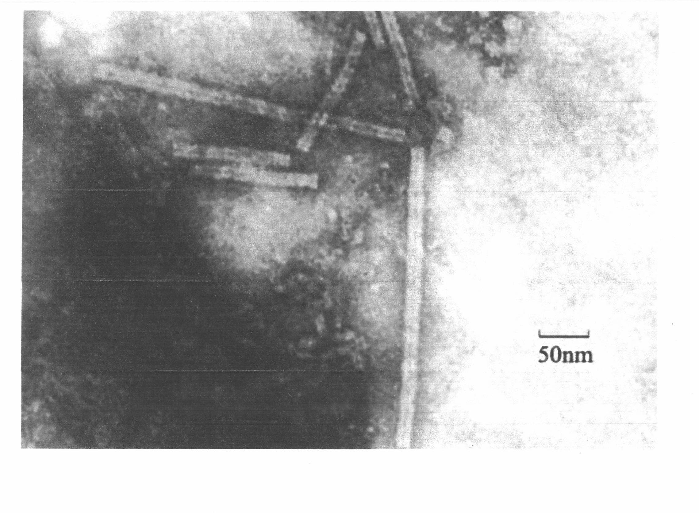 Novel high-efficient quick virus elimination technique for strawberries