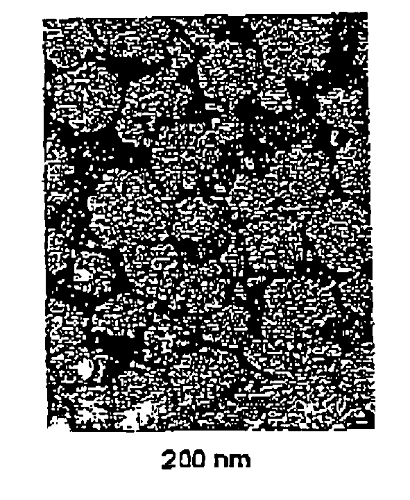 Colloidal suspension of submicronic particles as vectors for active principles and method for preparing same
