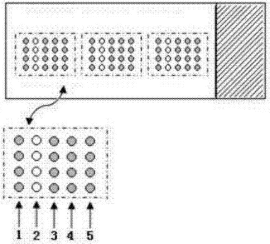 Preparation method for biological chip for detecting food-borne pathogenic bacteria