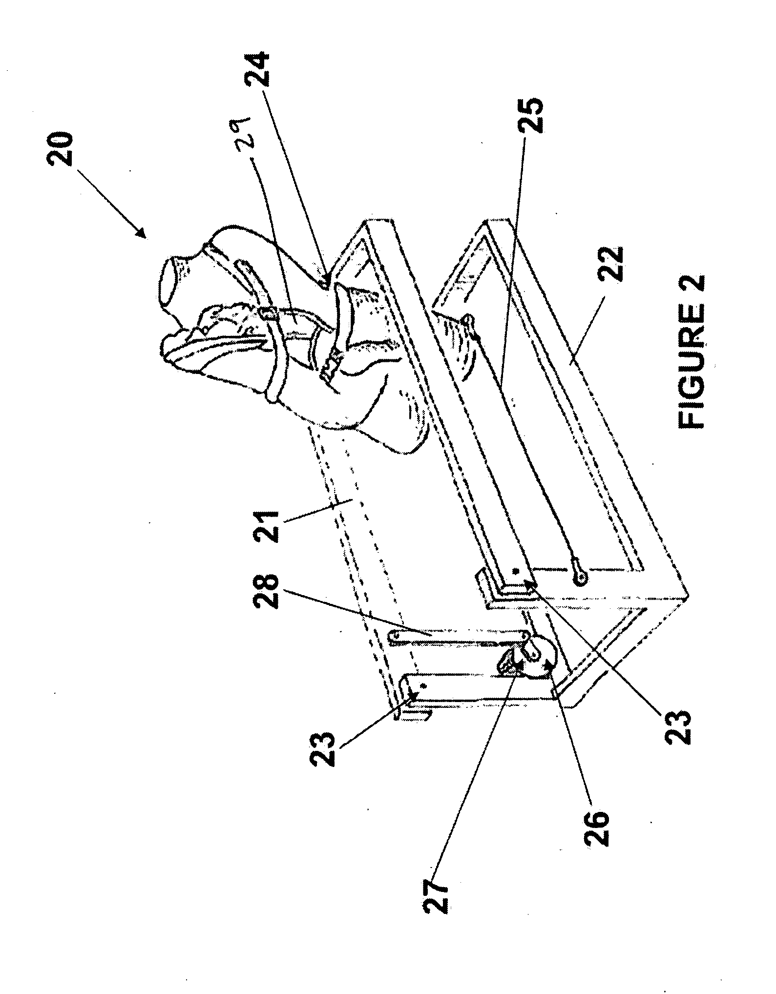 Infant soothing device and method